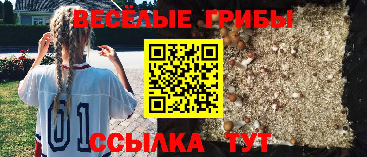 Галлюциногенные грибы Psilocybe  Вход с VPN  Нижний Тагил 