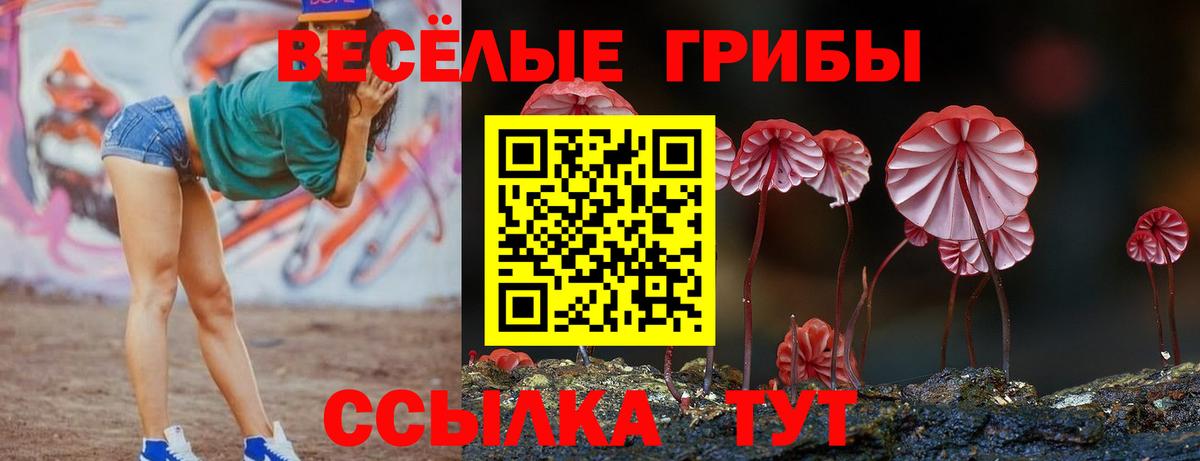 Галлюциногенные грибы Magic Shrooms Нижний Тагил